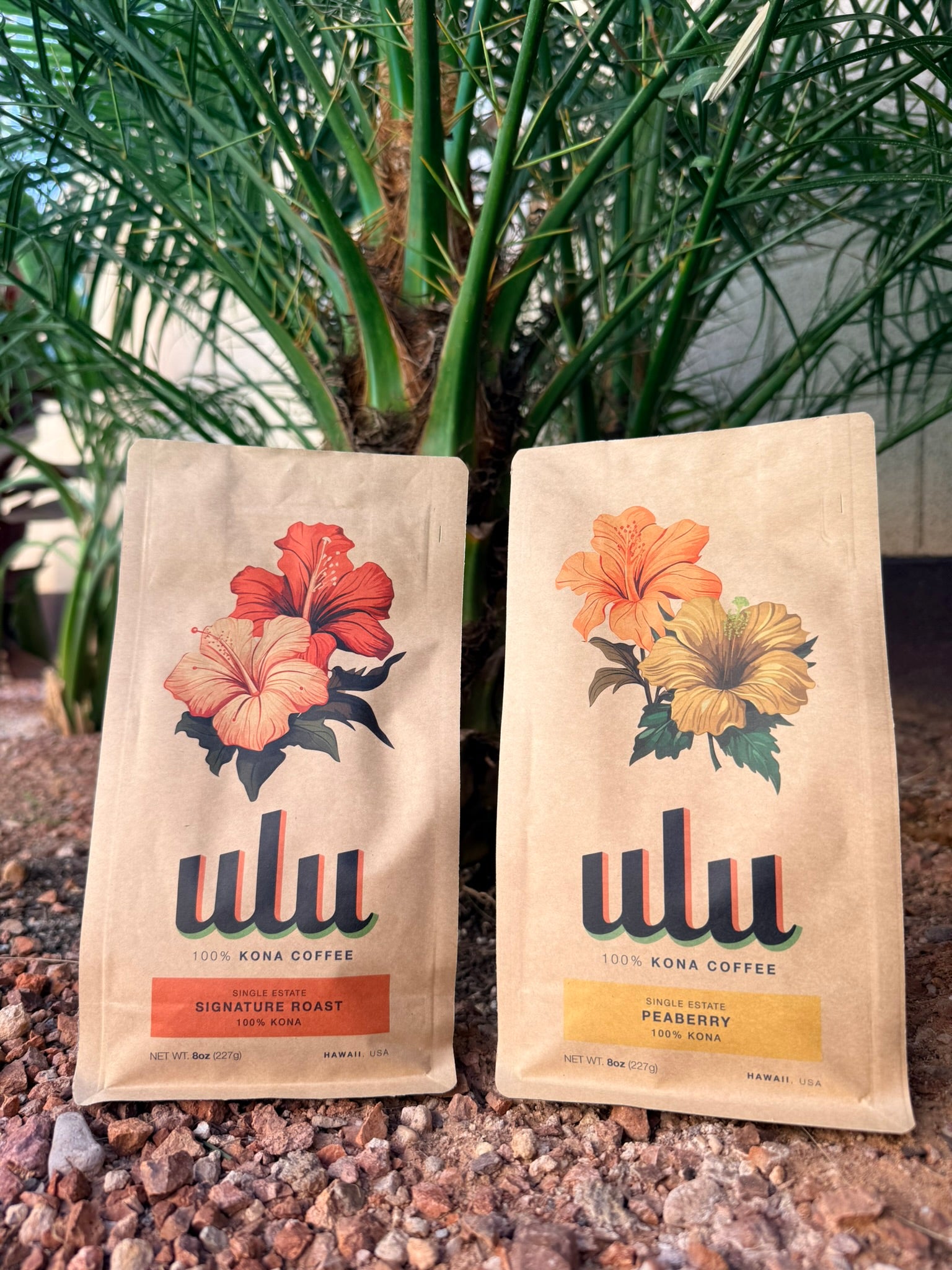 Kona Peaberry Coffee- Single Estate- SO