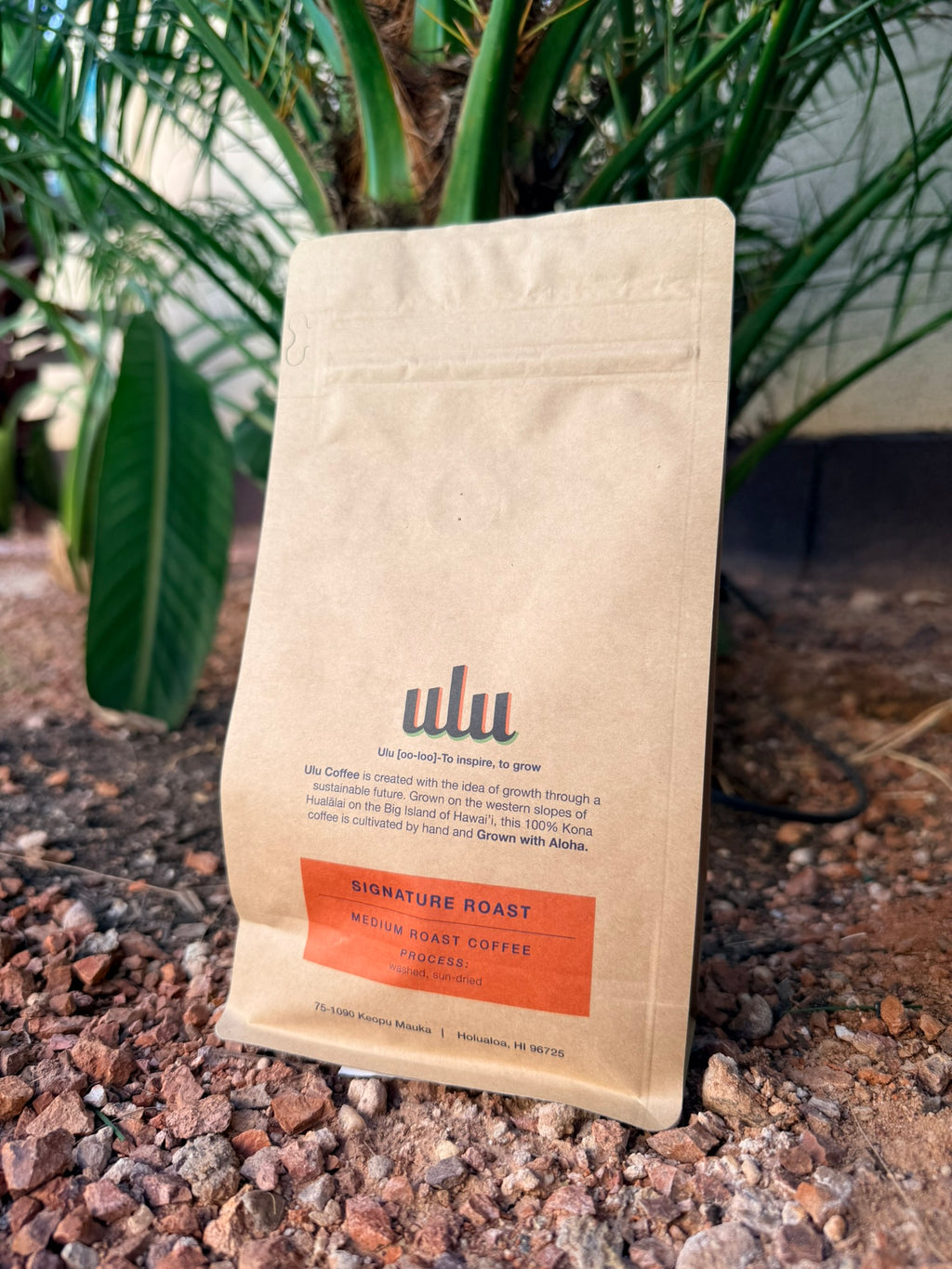 Kona Signature Roast- SO- Ulu Farms