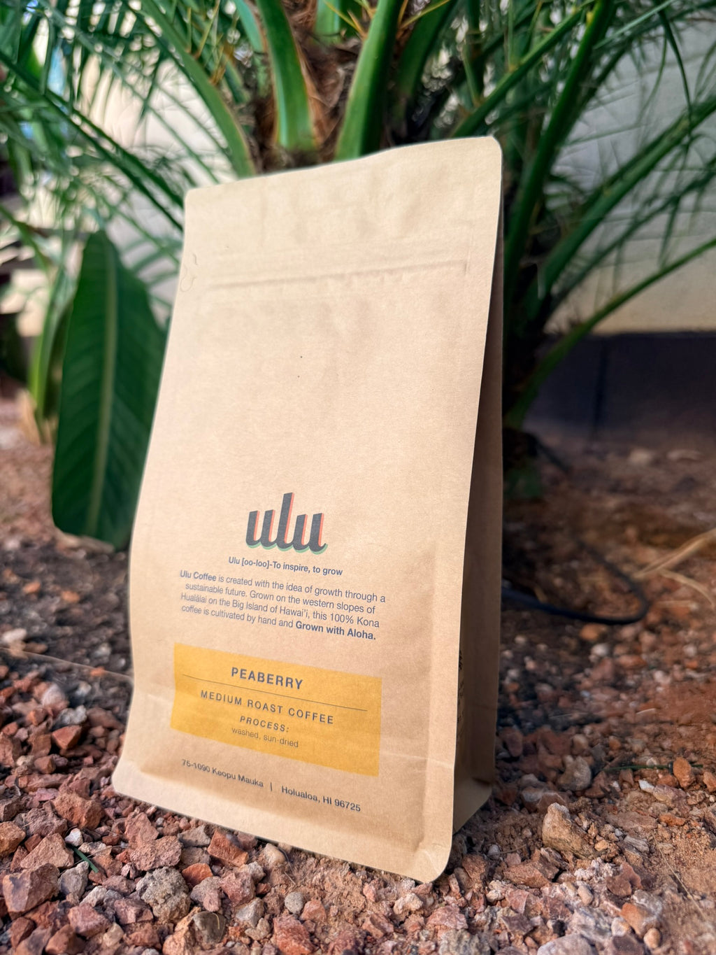 Kona Peaberry Coffee- Single Estate- SO