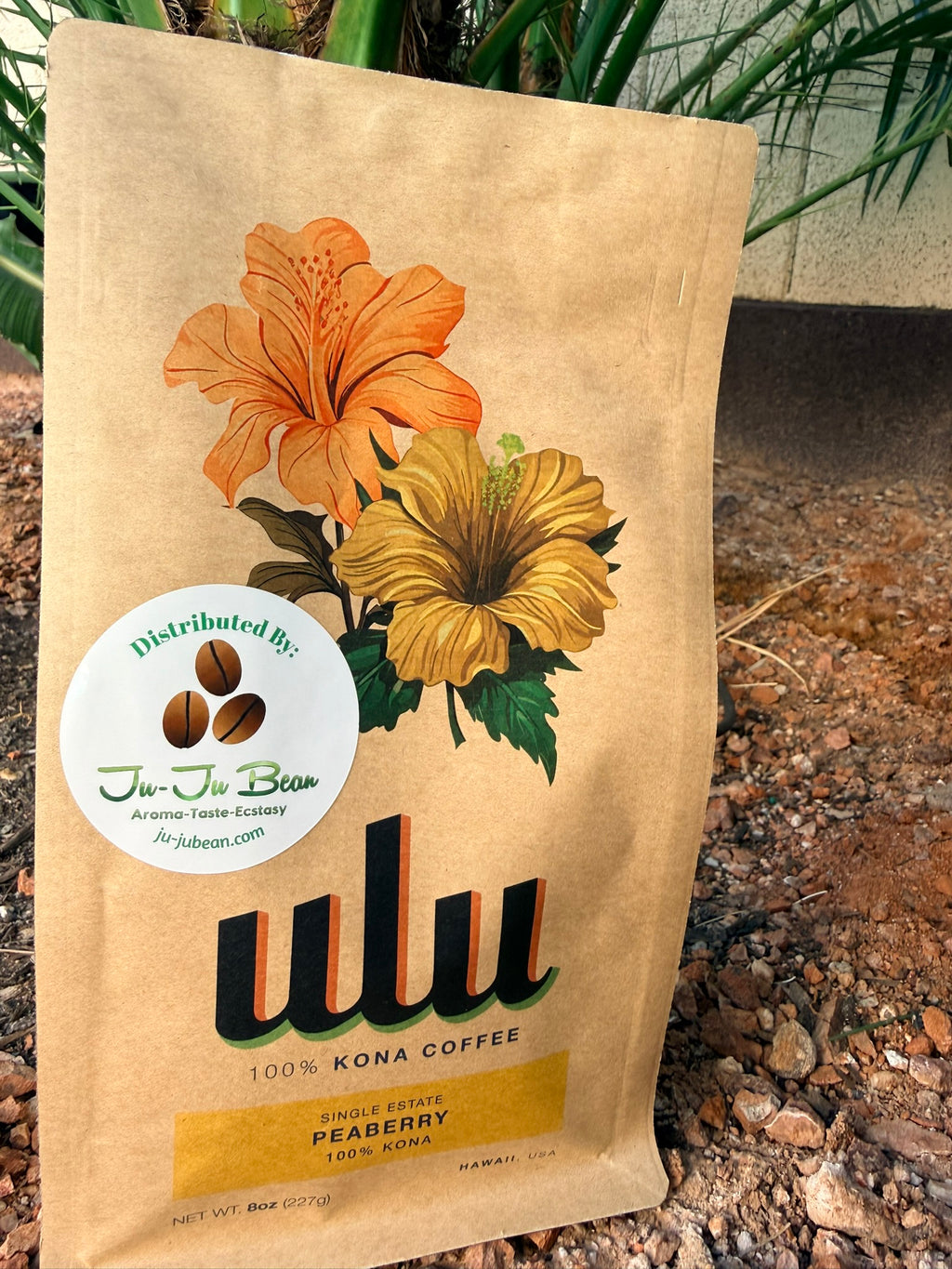 Kona Peaberry Coffee- Single Estate- SO