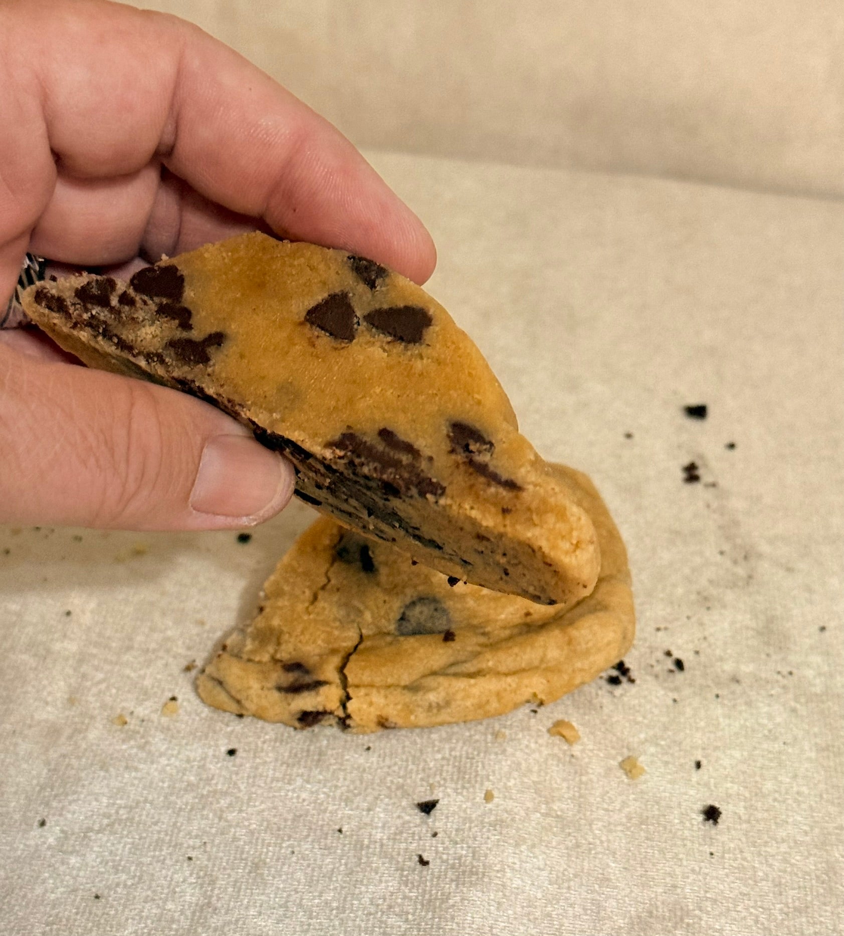 The Big Chip- Chocolate Chip