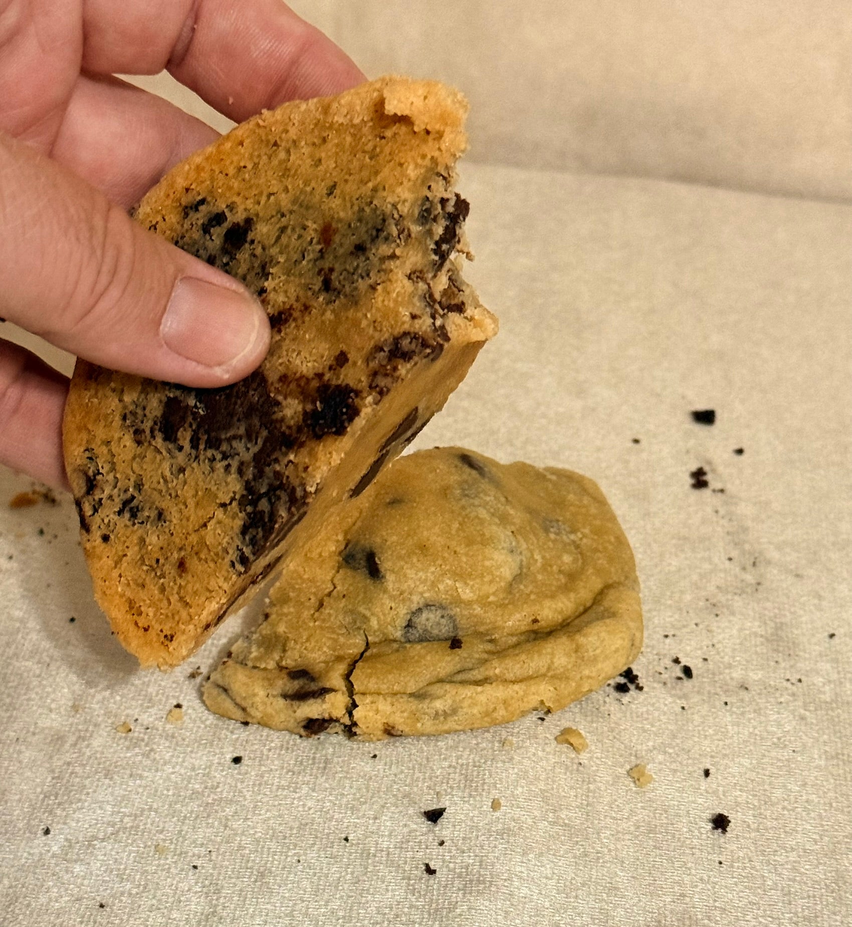 The Big Chip- Chocolate Chip