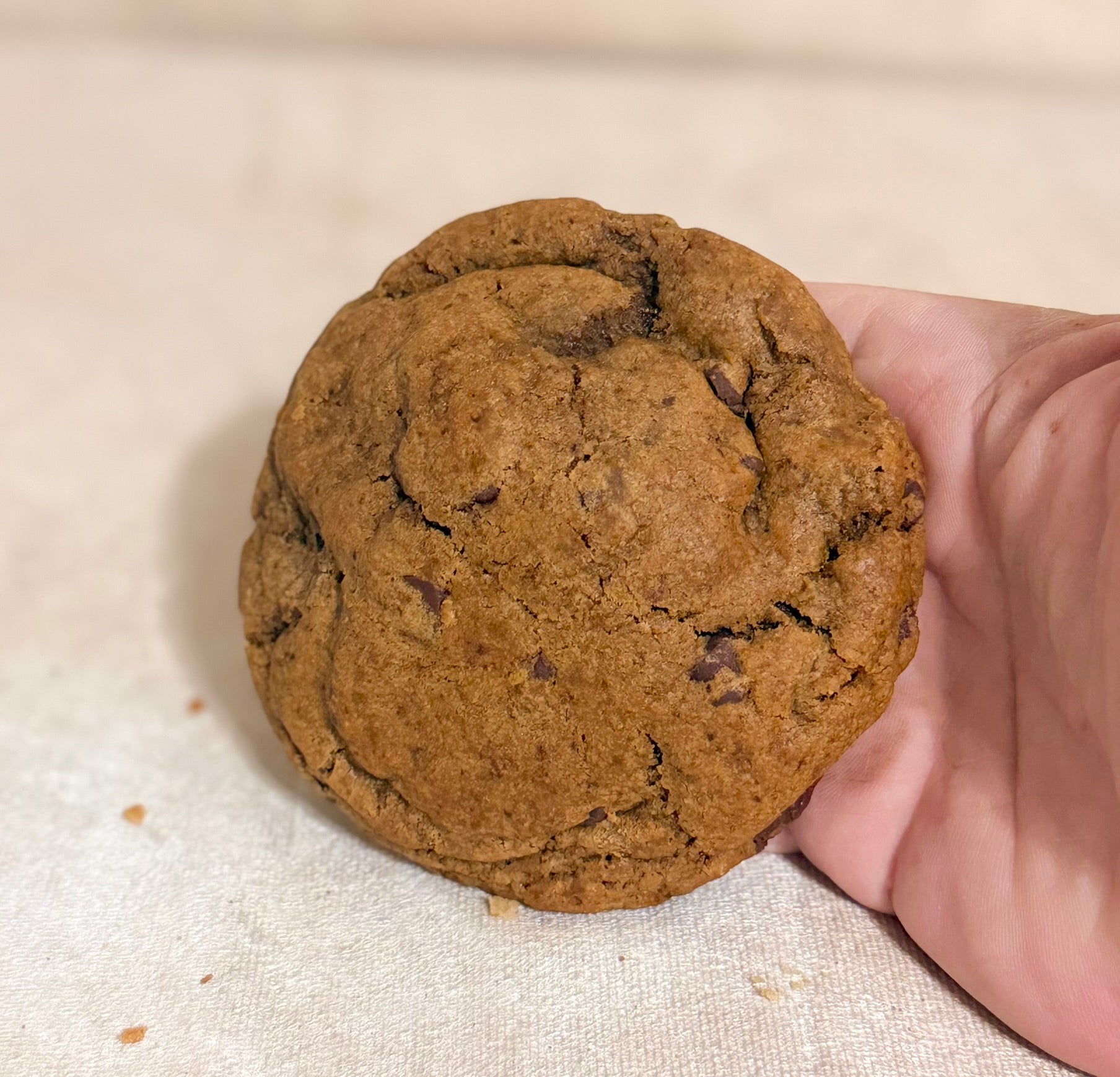 Buzz Chip- Espresso Cookie